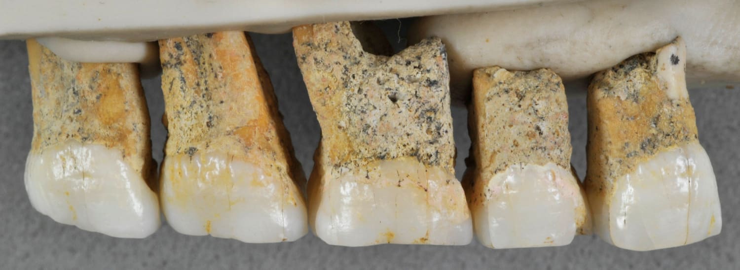 Homo luzonensis representation