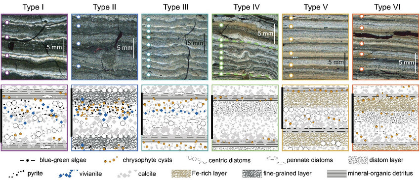 Microscopic view of varves